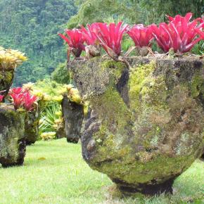 Martinique : Le jardin tropical de Balata