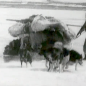 L’expédition canadienne dans l’Artique de 1913-1918 : une leçon de géographie