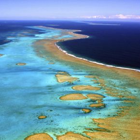 Nouvelle Calédonie : La France crée l’une des plus importantes aires marines protégées du monde