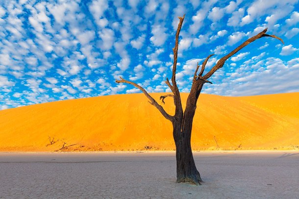 admirez-le-magnifique-desert-de-namibie-grace-a-ces-fantastiques-photographies1
