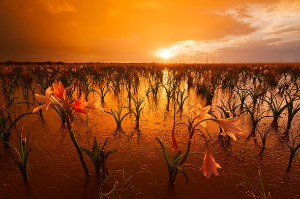 admirez-le-magnifique-desert-de-namibie-grace-a-ces-fantastiques-photographies44-1