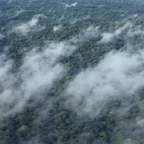 Amazonie : les « fleuves volants » risquent de se tarir
