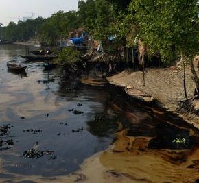 Bangladesh : marée noire dans la plus grande mangrove du monde