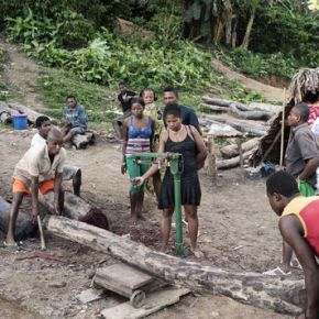 Madagascar : Le trafic du bois qui saigne
