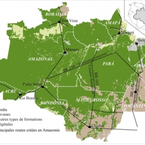 Amazonie : Le Brésil maîtrise-t-il la déforestation ?